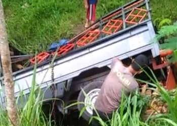 Pick Up Bermuatan Kelapa Terbalik Masuk Parit