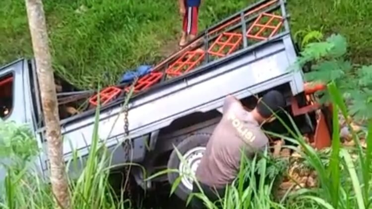 Pick Up Bermuatan Kelapa Terbalik Masuk Parit