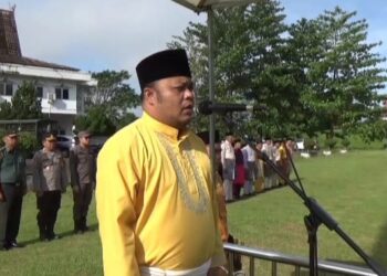 Wabup Tanjabtim Pimpin Upacara Hardiknas 2024