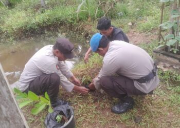 Rangkaian HUT Bhayangkara ke-78, Polres Tanjung Jabung Timur Gelar Penanaman Pohon Guna Penghijauan dan Cegah Abrasi