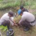 Rangkaian HUT Bhayangkara ke-78, Polres Tanjung Jabung Timur Gelar Penanaman Pohon Guna Penghijauan dan Cegah Abrasi