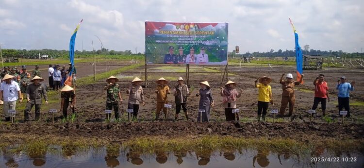 Perkuat Fondasi Ketahanan Ekonomi Daerah, Wabup Tanjabtim Lakukan Tanam Padi Serentak se Provinsi Jambi