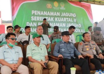 Program Nasional Swasembada Pangan Tahun 2025, Wabup Tanjabbar dan Kapolres Ikuti  Tanam Jagung Serentak Bersama Kapolri Via Zoom