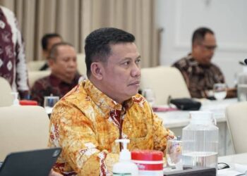 Wabup Tanjabbar Sampaikan Sejumlah  Usulan Strategis Saat Audiensi Bersama Menteri Bappenas RI