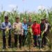 Kapolres Tanjabbar Dan Wakil Bupati Secara Seksama Ikuti Zoom Meeting Giat Panen Raya Jagung Serentak Sukses