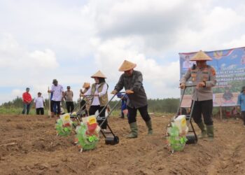 Program Ketahanan Pangan Nasional,Kapolres Tanjabbar dan Forkopimda Ikuti Zoom Penaman Jagung Kuartal lV Secara Daring Di Pimpin Wapres RI