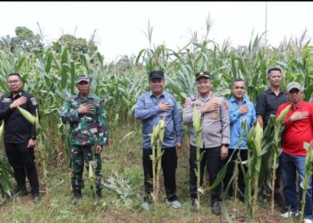 Wabup Tanjabbar Hadiri Panen Serentak Kuartal III Tahun 2025 Di Renah Mendaluh