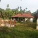 Memprihatinkan kan Kondisi Keadaan Rumah Dinas Camat Betara,Butuh Perbaikan